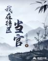 我在特区当官