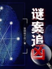 谜案追凶