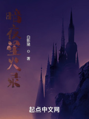 暗夜星火录