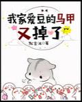 我家爱豆的马甲又掉了