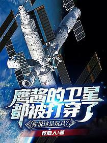 鹰酱的卫星都被打穿了，你说这是玩具？