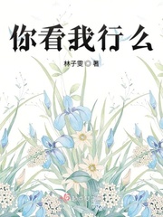 江稚沈律言