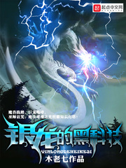 杨洛小说
