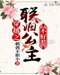 穿越之联姻公主不好惹