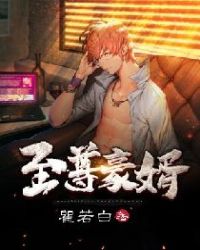 至尊豪婿
