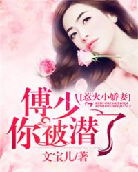 惹火小娇妻：傅少，你被潜了