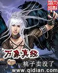 李天命圣兽战魂