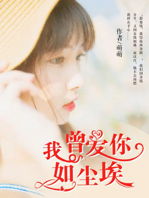 我曾爱你如尘埃