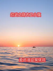 综武之锦衣卫小旗