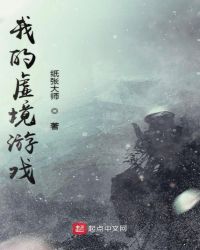我的虚境游戏