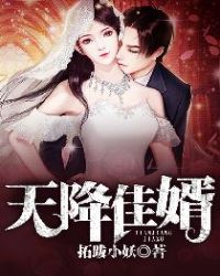 天降佳婿
