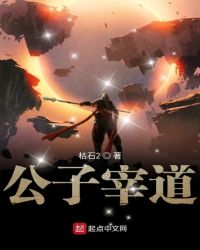 公子宰道