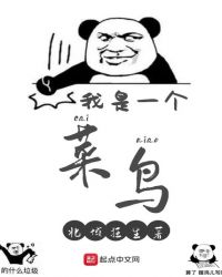 我是一个菜鸟