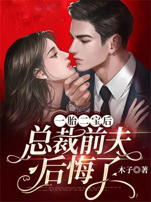一胎二宝后总裁前夫后悔了