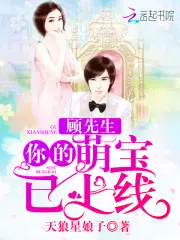 顾先生你的萌宝已上线
