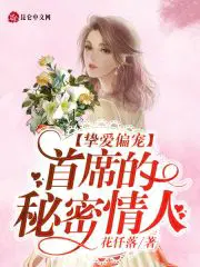 挚爱偏宠：首席的秘密情人