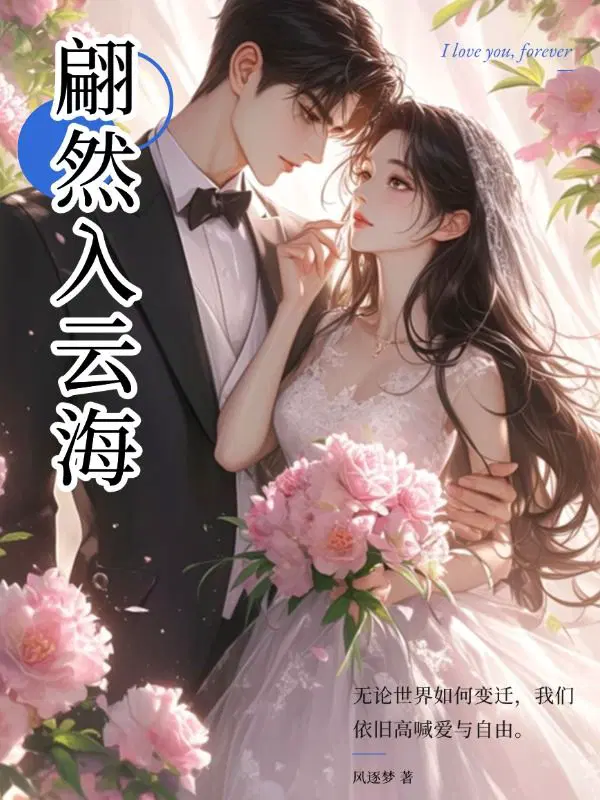 翩然入云海