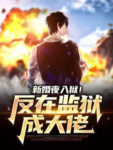 新婚夜入狱！反在监狱成大佬