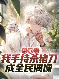 离婚后，我手持杀猪刀成全民偶像