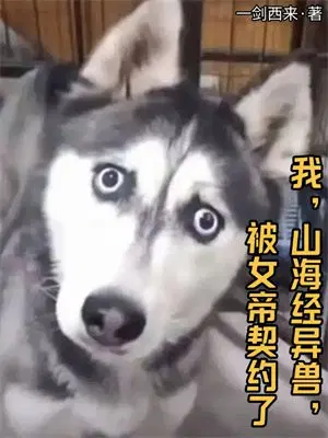 我，山海经异兽，被女帝契约了