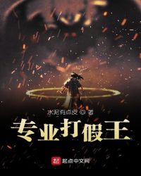 专业打假王