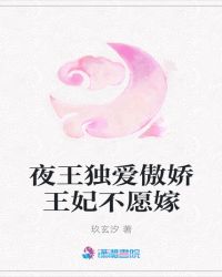 夜王独爱傲娇王妃不愿嫁