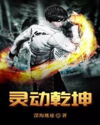 灵动乾坤
