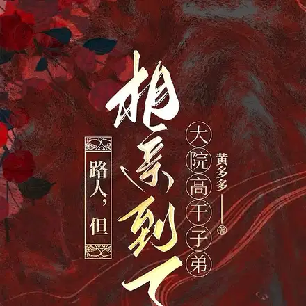 路人，但相亲到了大院高干子弟