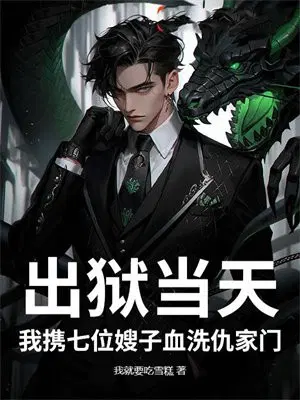出狱当天：我携七位嫂子血洗仇家门