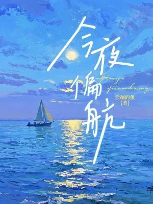 今夜偏航
