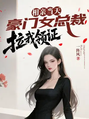 相亲当天，豪门女总裁拉我领证