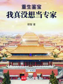 重生鉴宝：我真没想当专家