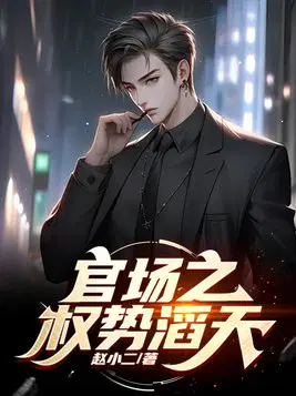 官场之权势滔天