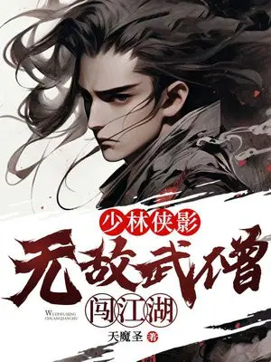 少林侠影：无敌武僧闯江湖