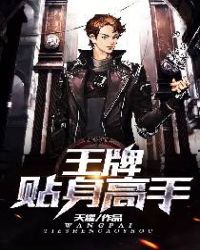 王牌贴身高手