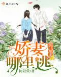 豪门甜宠之妻子哪里逃