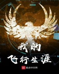 我的飞行生涯