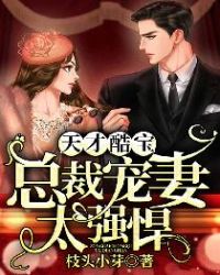 天才酷宝：总裁宠妻太强悍