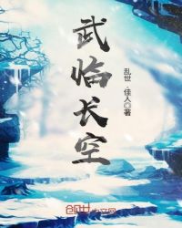 武临长空
