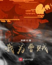 我为曹贼