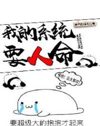 我的系统要人命