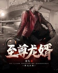 至尊龙婿