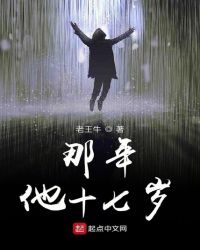 那年他十七岁