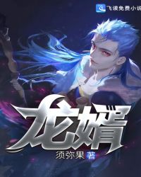 龙婿