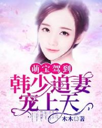 萌宝驾到：韩少追妻宠上天