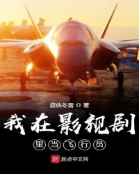 我在影视剧里当飞行员