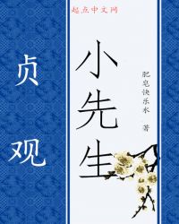 贞观小先生