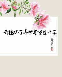 我撞坏了异世界重生卡车