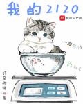 我的2120