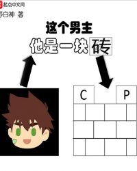 这个男主他是一块砖